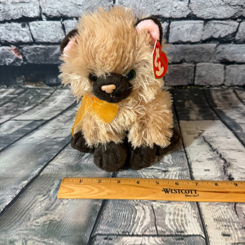 Vintage Ty Classic Beanie Babies 2005 "Cassidy" the Cat 8" Plush Toy - MWMT - Picture 8 of 12